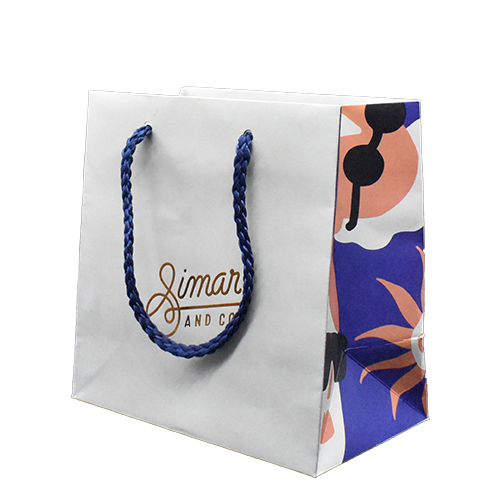 B-STANDARD-500×500-Bolsa-12