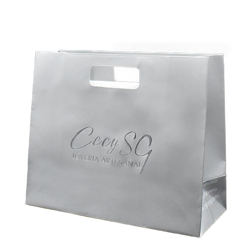 B-STANDARD-500×500-Bolsa-15