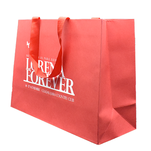 B-STANDARD-500×500-Bolsa-19